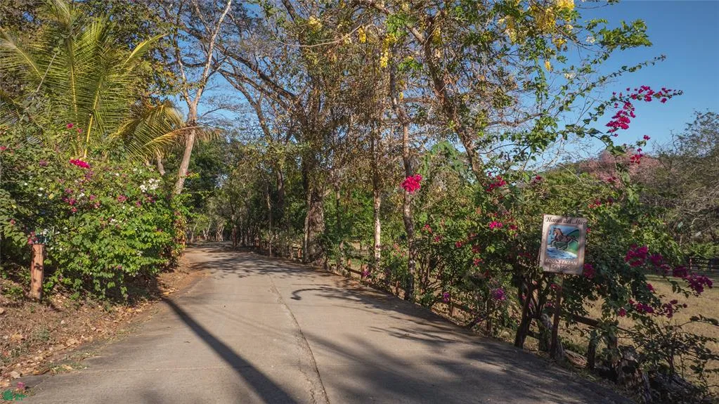 Centro de Ecuestra, photo 7