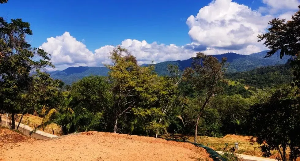 DESCRIPCION DETALLADA: ubicados en la región del Pacífico Sur de Costa ..., photo 6