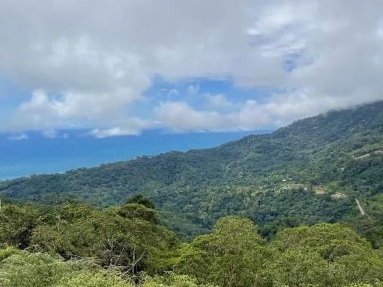 Bejuco Ocean View Property Ready To Build, photo 2