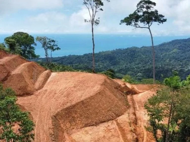 Bejuco Ocean View Property Ready To Build, photo 3