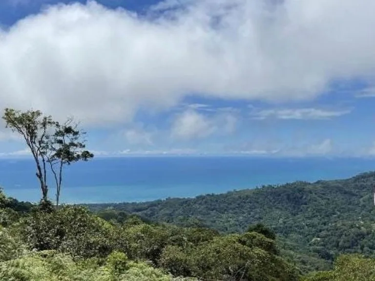 Bejuco Ocean View Property Ready To Build, photo 6