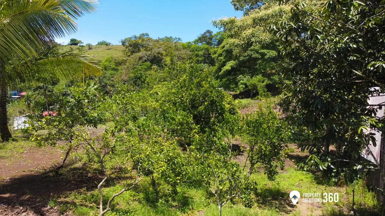 Land for sale of 1,400 m2, photo 6