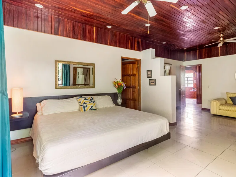 5 Bed Single Family Homes For Sale in Perez Zeledon, photo 21