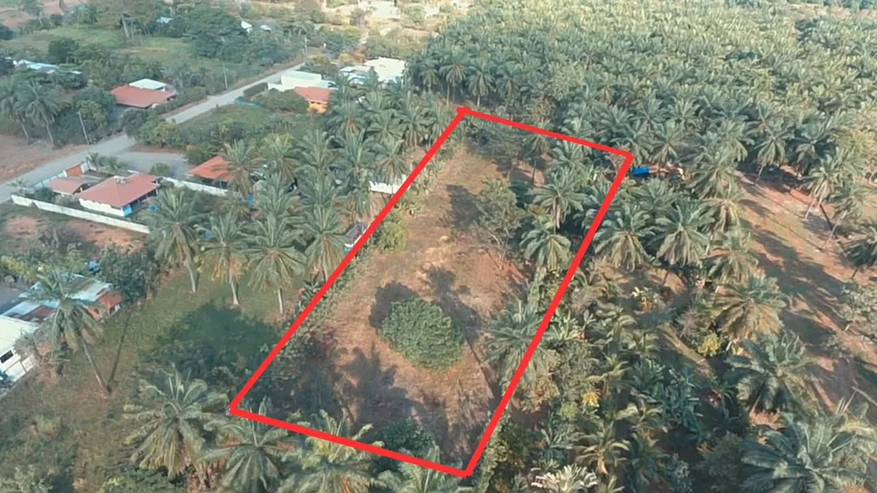Prime 5,000 m² Lot in Playa Bandera – Parrita