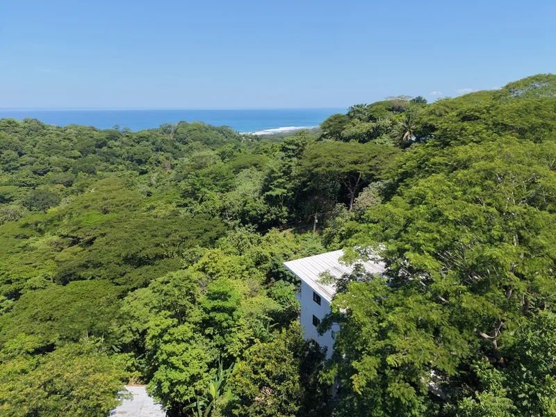 4 Bed Single Family Homes For Sale in Playa Hermosa Santa Teresa, photo 2