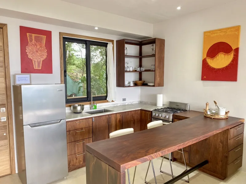 4 Bed Single Family Homes For Sale in Playa Hermosa Santa Teresa, photo 14
