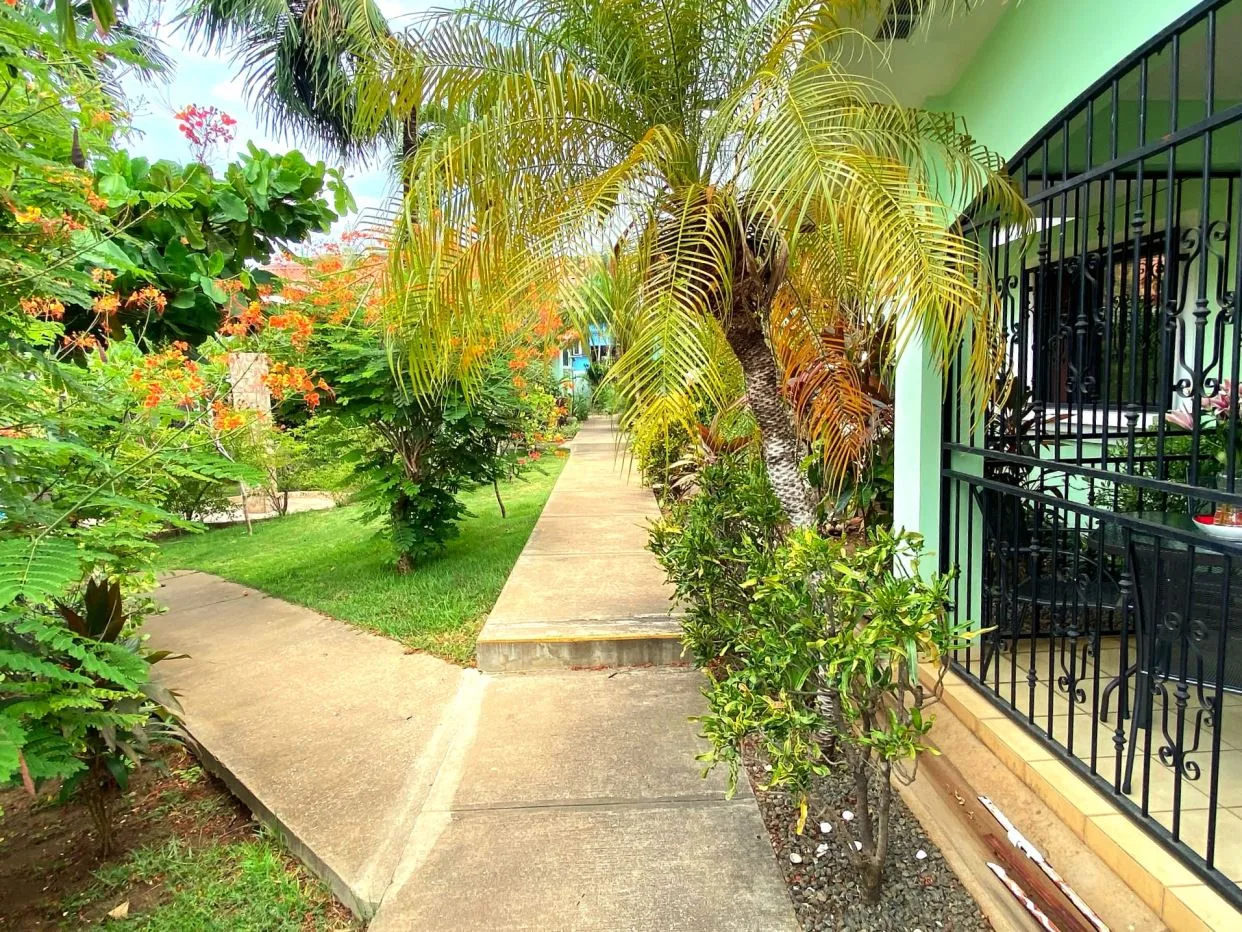 Green Life 6, photo 15