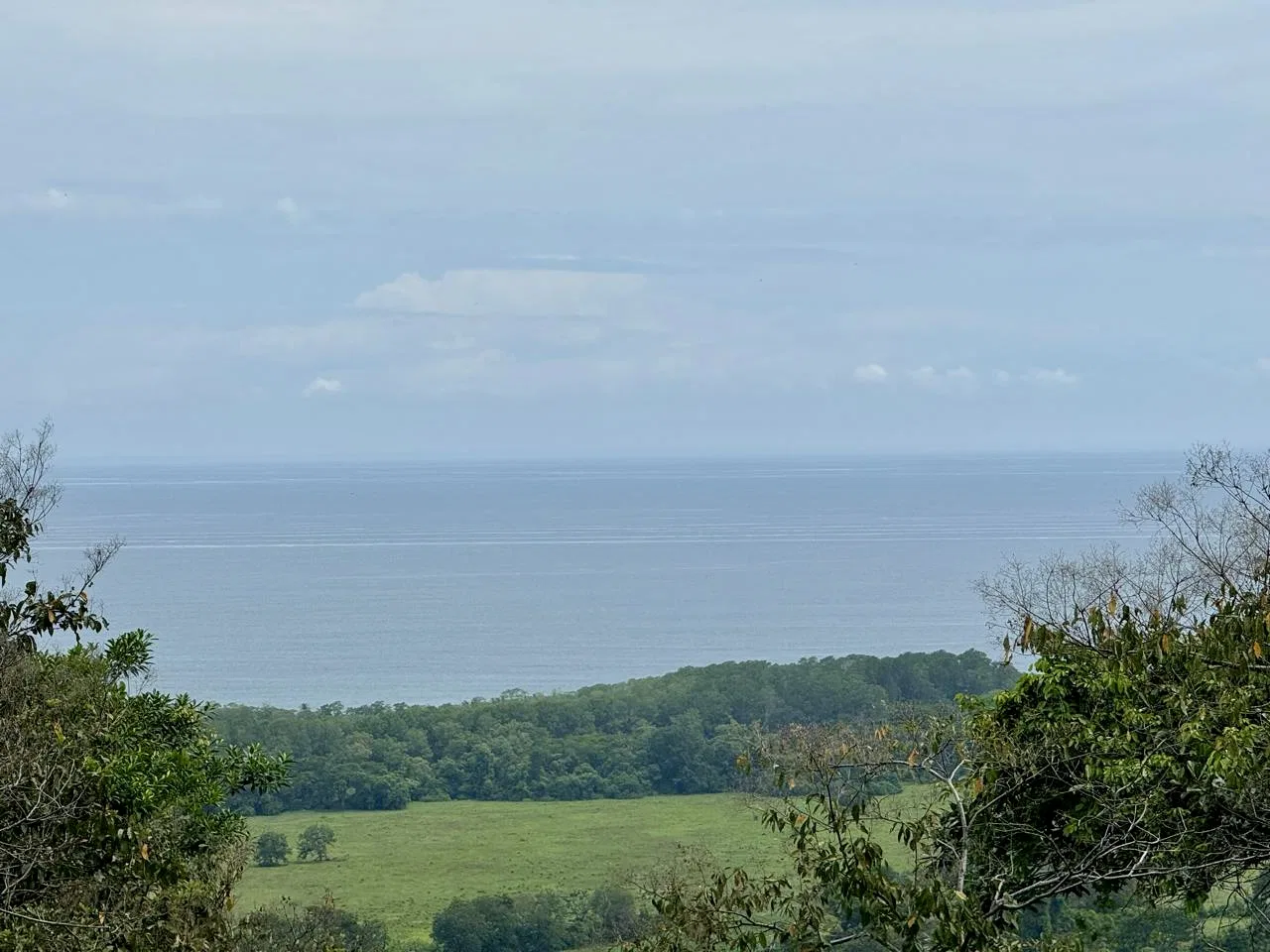 7.67 ACRES - Ocean View Acreage With Great Access, Primary Jungle And Creek