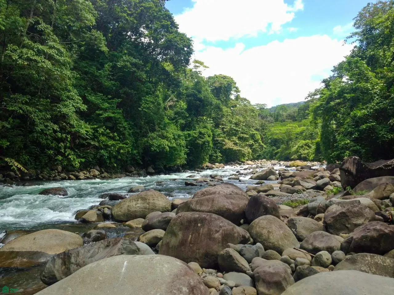 Guatuso, Katira, Alajuela 21501