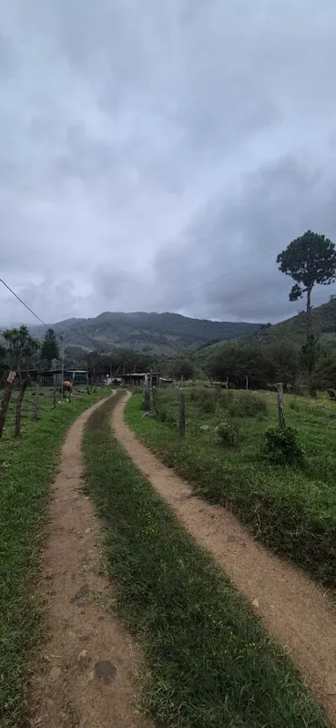 Fifth in Copey de Dota, perfect for construction. with easy access to light and water or for agricultural purposes.