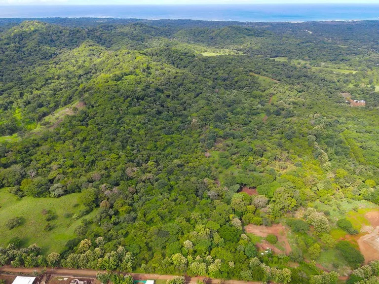 Finca Montecito: Ocean View Development Finca in Playa Avellanas