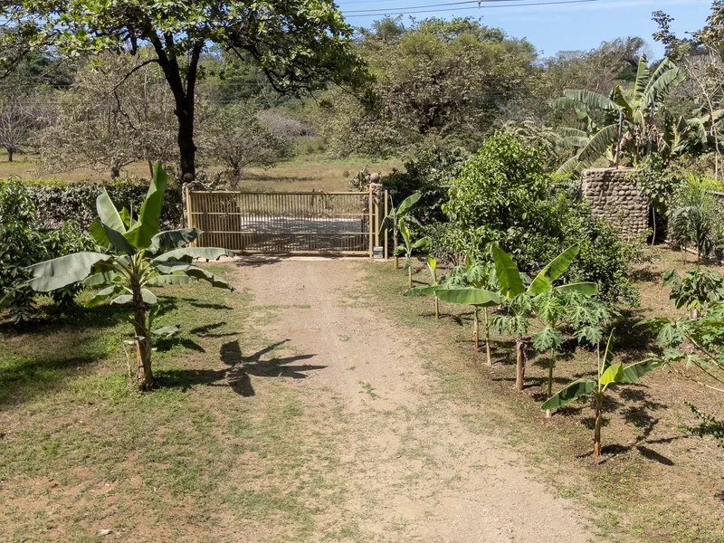 Land For Sale in Nosara, photo 2