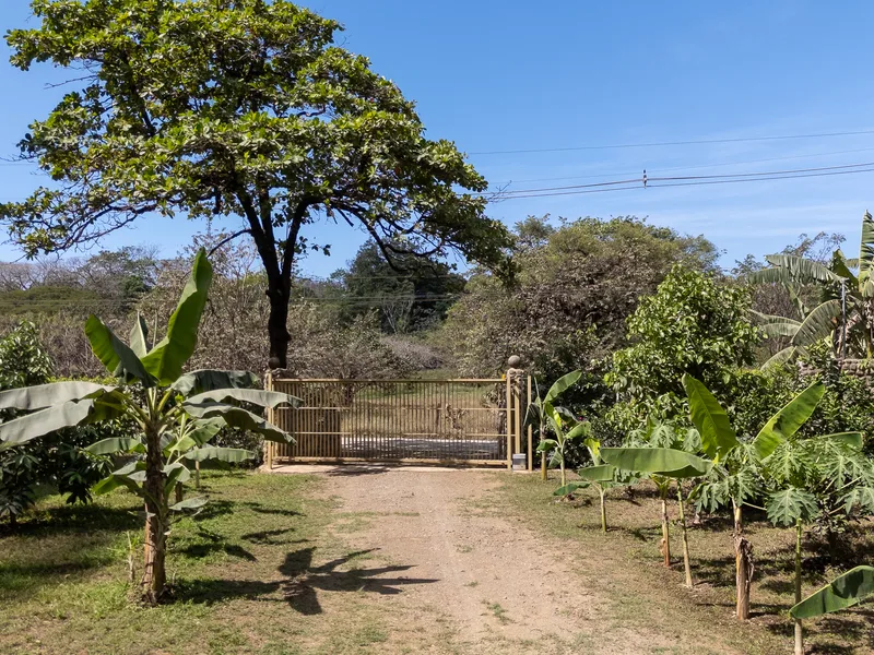 Land For Sale in Nosara, photo 3