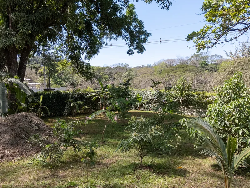 Land For Sale in Nosara, photo 4