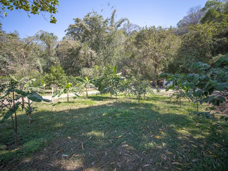 Land For Sale in Nosara, photo 5