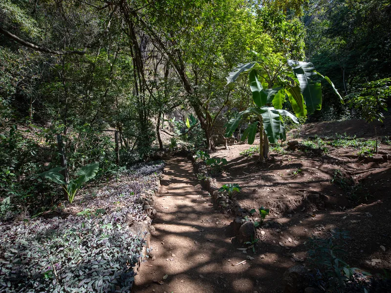Land For Sale in Nosara, photo 7
