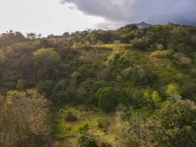 Casa de nueva construcción cerca de Rivas con 6 acres en el río Buena Vista, photo 8