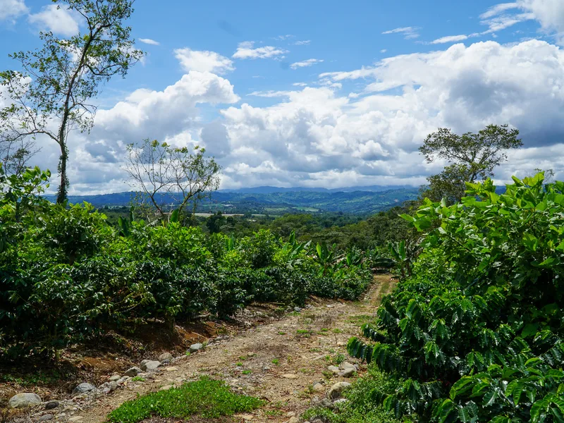 Land For Sale in Perez Zeledon, photo 11