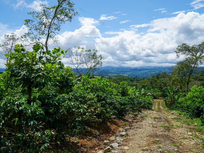 Land For Sale in Perez Zeledon, photo 12