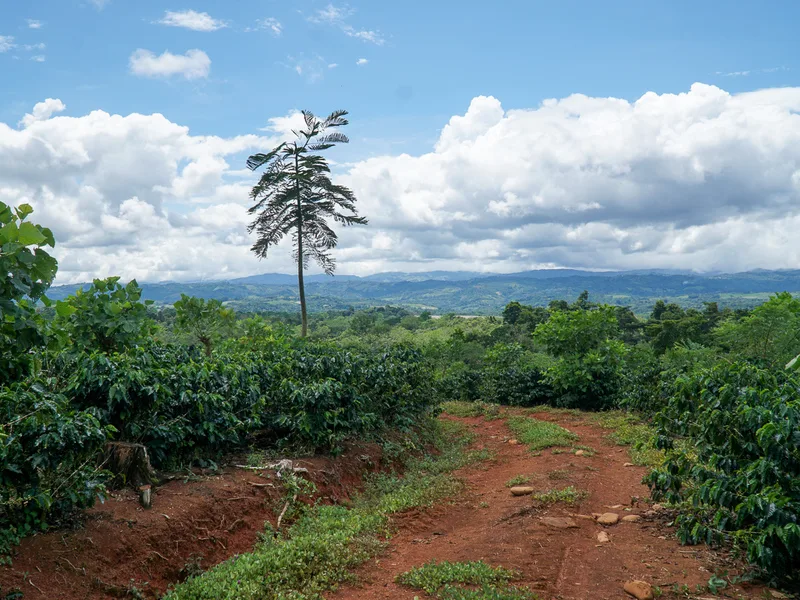 Land For Sale in Perez Zeledon, photo 13