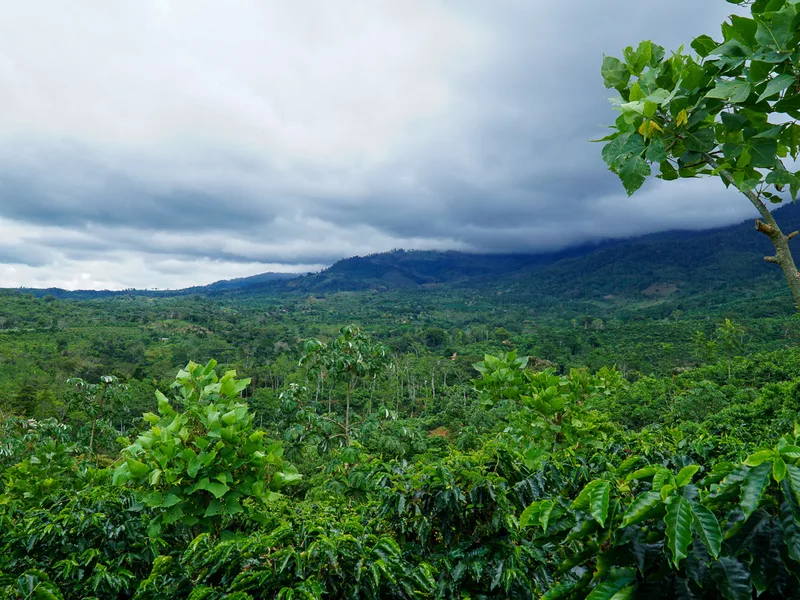 Land For Sale in Perez Zeledon, photo 14