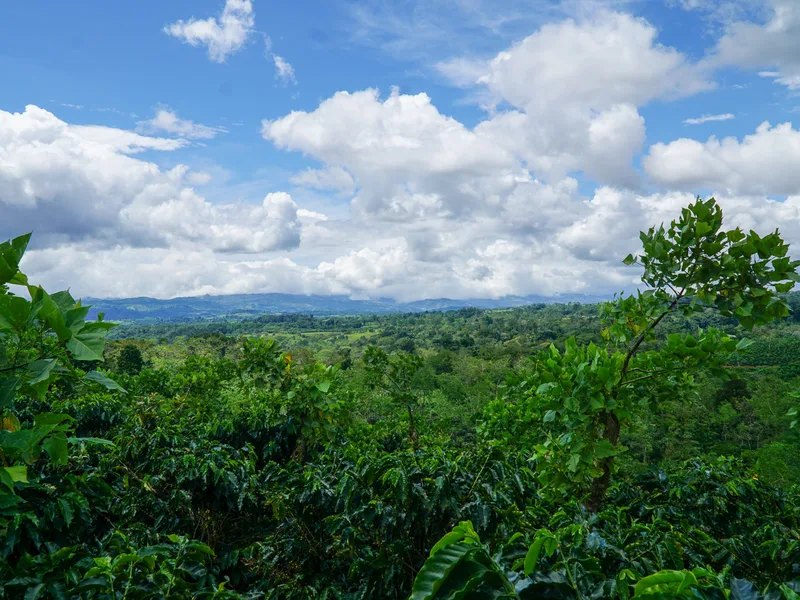 Land For Sale in Perez Zeledon, photo 15