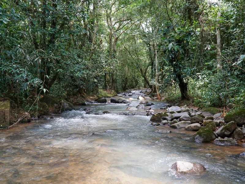 Land For Sale in Perez Zeledon, photo 6