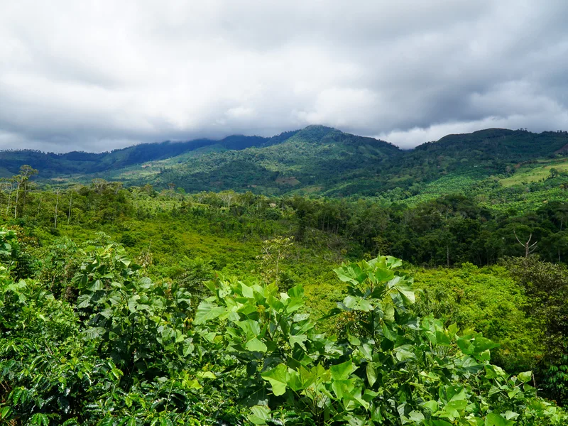 Land For Sale in Perez Zeledon, photo 7