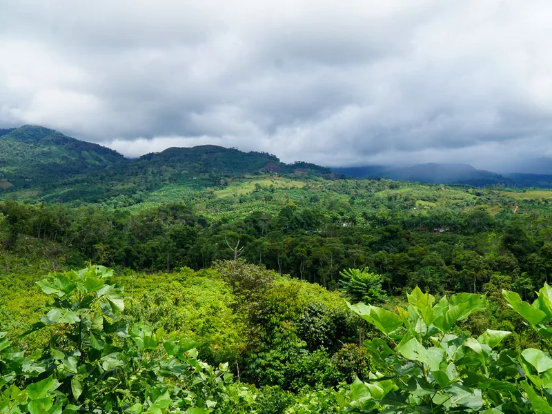 Land For Sale in Perez Zeledon, photo 8