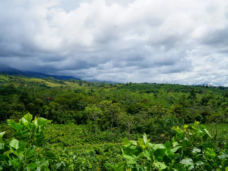 Land For Sale in Perez Zeledon, photo 9