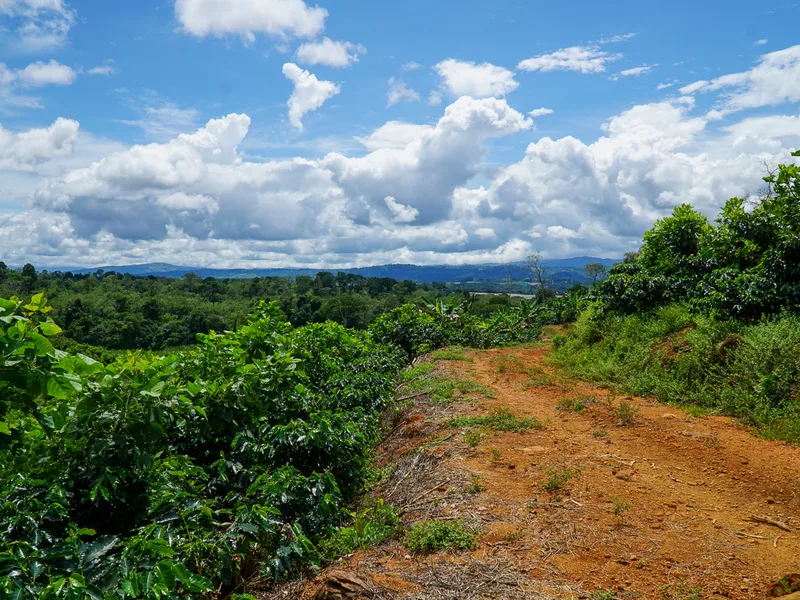 Land For Sale in Perez Zeledon, photo 10