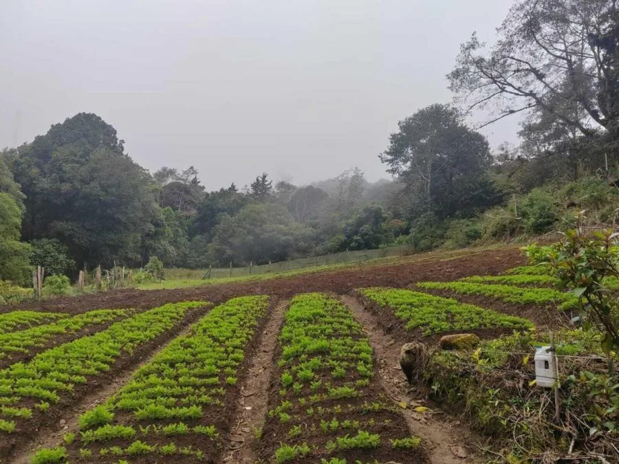Venta de Hermoso Terreno Agrícola en Santa María, Dota / JB OFC Mls. 25-1060 - Venta en Dota