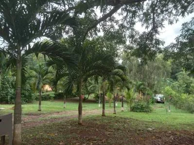 Casa en venta en Turrubares con amplio lote, photo 3