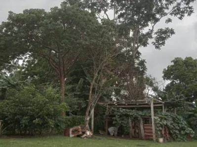 Casa en venta en Turrubares con amplio lote, photo 9