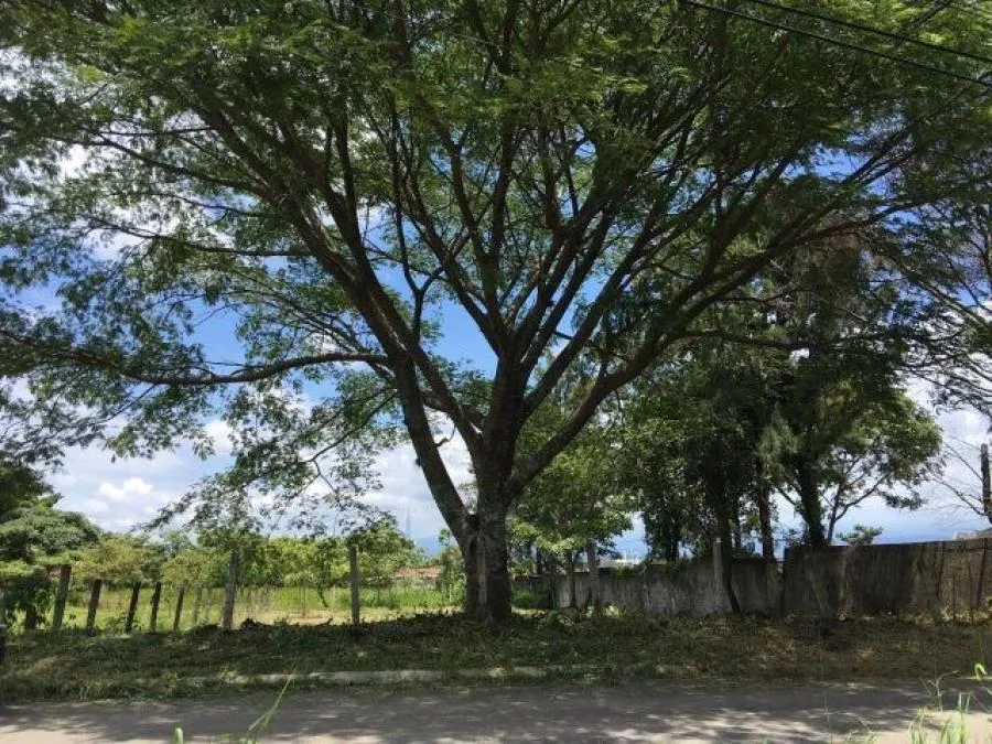 MLS-241339 LS VENTA LOTE DE 436M2 SANTO DOMINGO HEREDIA - Venta en SANTO DOMINGO HEREDIA, photo 13