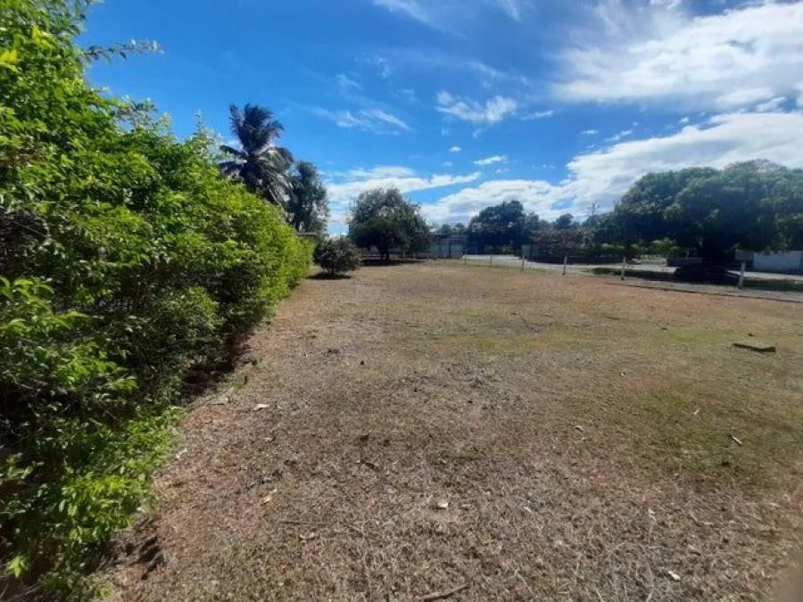 MLS-26-1339 LS VENTA LOTE OROTINA ALAJUELA - Venta en Orotina