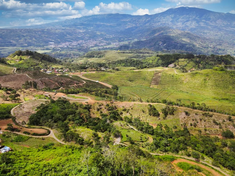 Land For Sale in Turrialba
