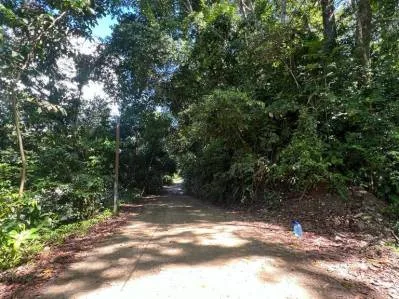 Playa Dominical, nadar en el río, caminar a la playa, ir a la ciudad, photo 2
