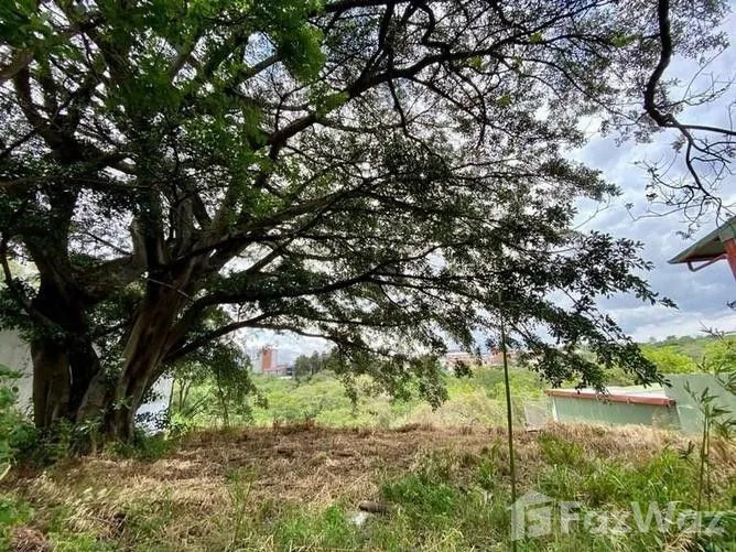Land for Sale in San Jose, San Jose for $240,000, photo 2