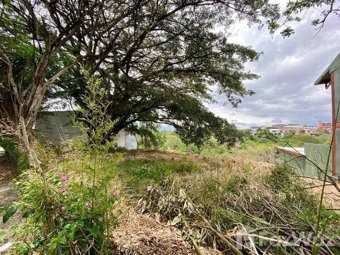Land for Sale in San Jose, San Jose for $240,000, photo 5
