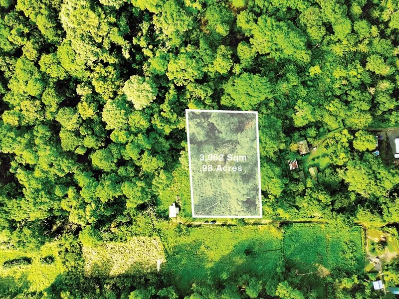 Land For Sale in Cahuita