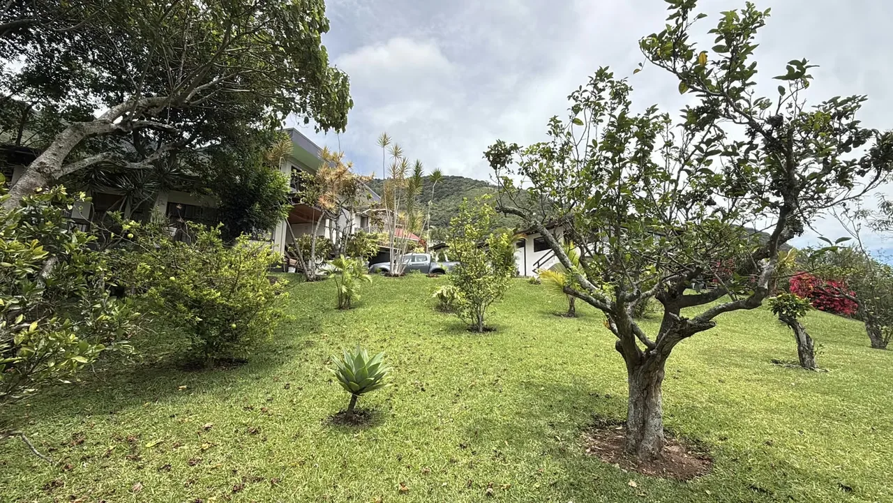 Propiedad exclusiva en San Antonio de Escazú con 4.304 m² de terreno y dos casas independientes que suman 451 m² de construcción., photo 2