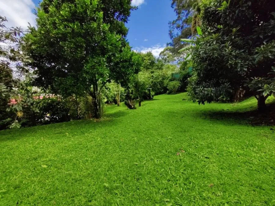 Terreno en Venta en Moravia RAH #222510 - Venta en Moravia, photo 11