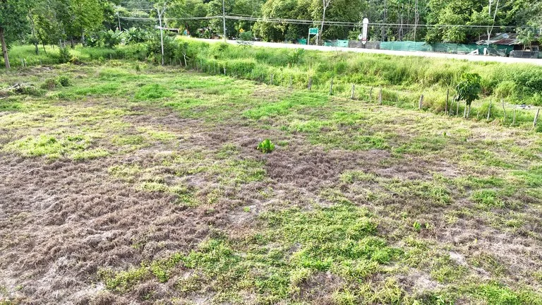 COMMERCIAL LOT IN CORONADO! MAIN HIGHWAY, 1.6 ACRES!: Mountain Home Construction Site For Sale in Puerto Cortés, photo 5