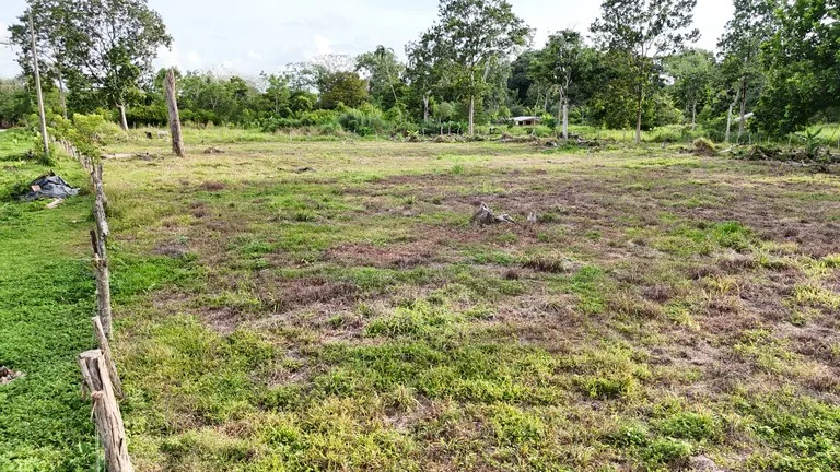 COMMERCIAL LOT IN CORONADO! MAIN HIGHWAY, 1.6 ACRES!: Mountain Home Construction Site For Sale in Puerto Cortés, photo 6