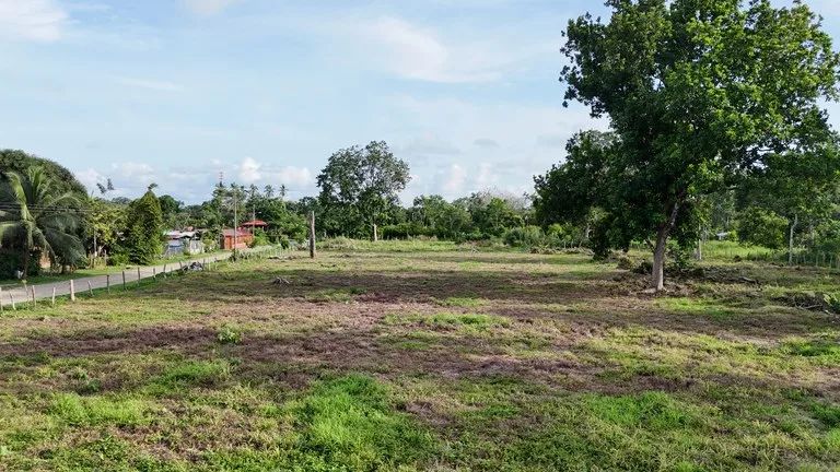 COMMERCIAL LOT IN CORONADO! MAIN HIGHWAY, 1.6 ACRES!: Mountain Home Construction Site For Sale in Puerto Cortés, photo 7