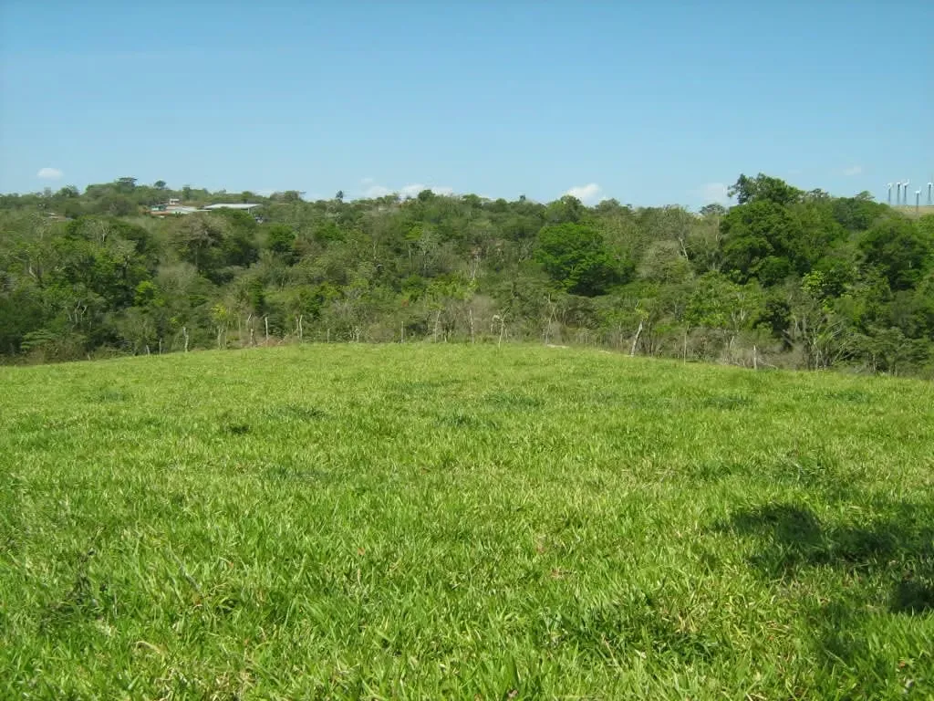 Lot for sale for a country house in Guanacaste, Tilarán, photo 2
