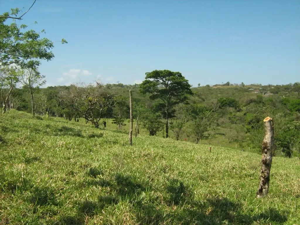 Lot for sale for a country house in Guanacaste, Tilarán, photo 11