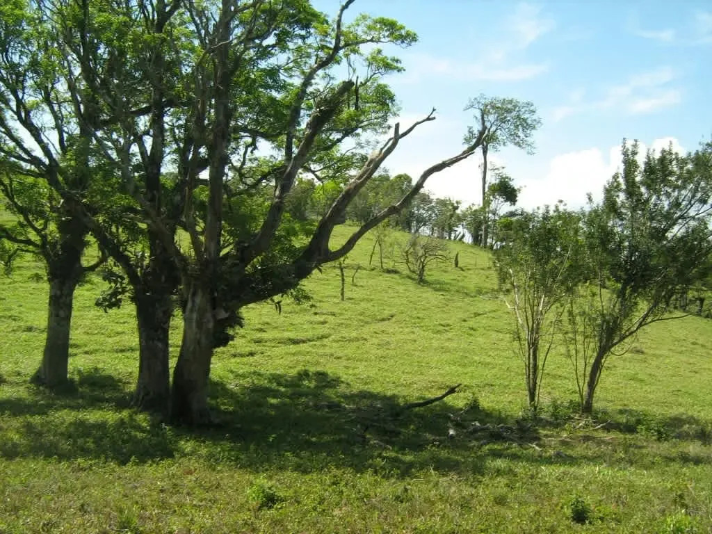 Lot for sale for a country house in Guanacaste, Tilarán, photo 12