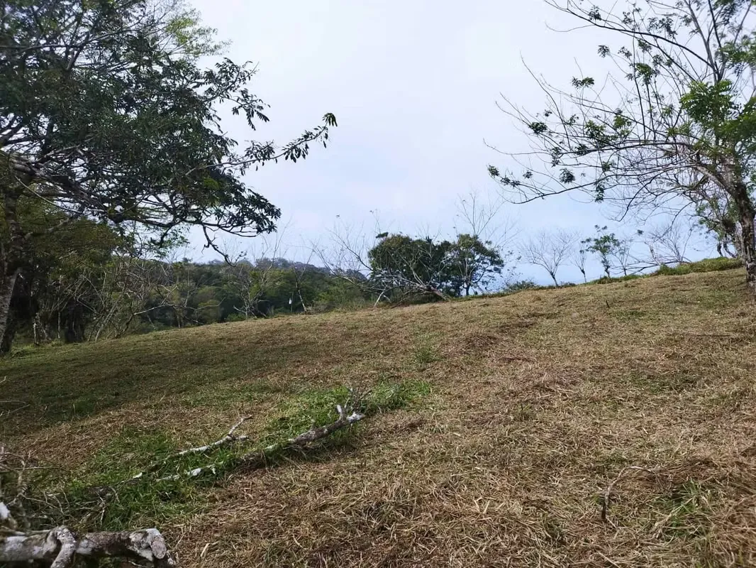 Lot for sale for a country house in Guanacaste, Tilarán, photo 3
